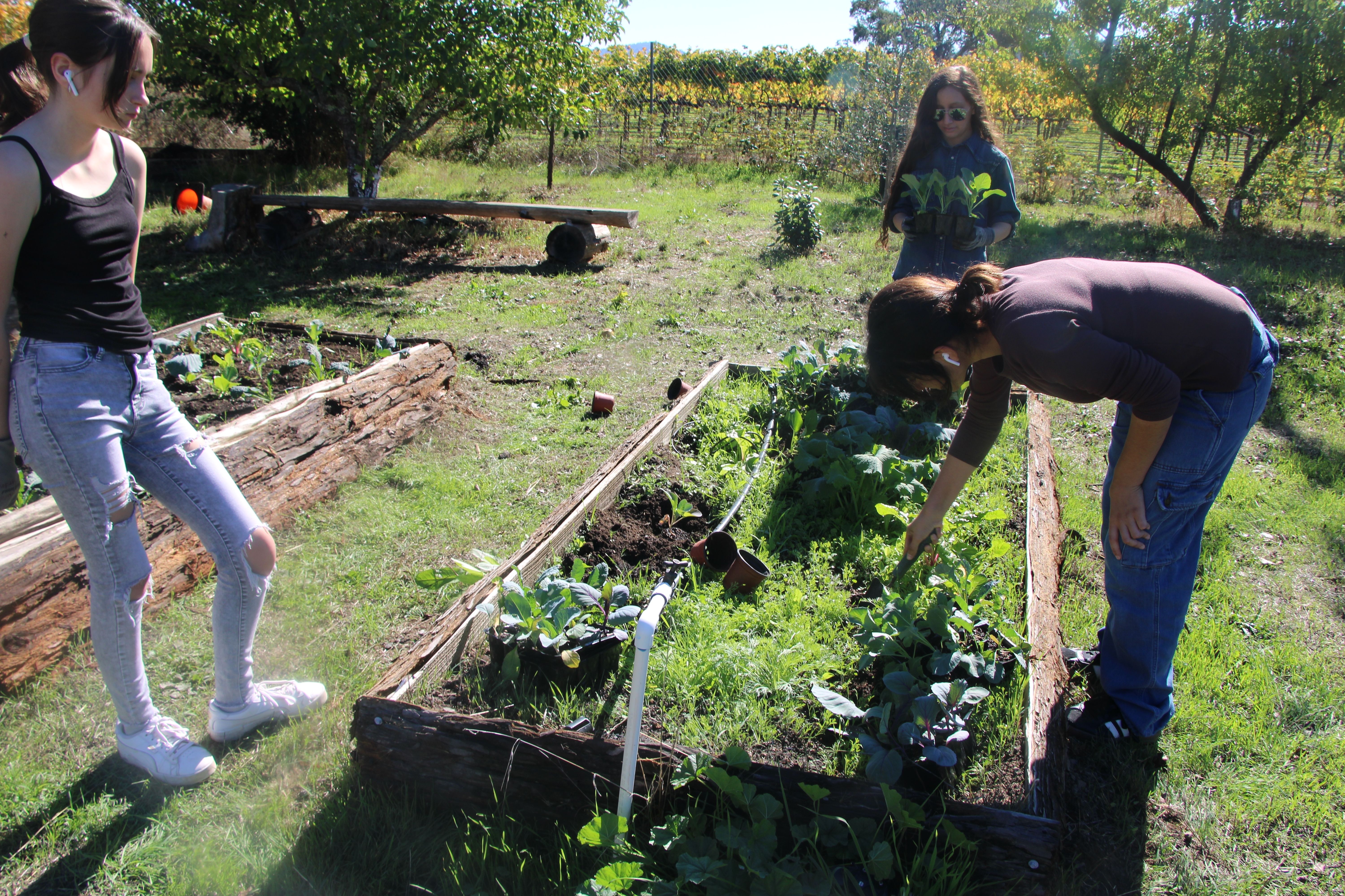 Agricultural Science
